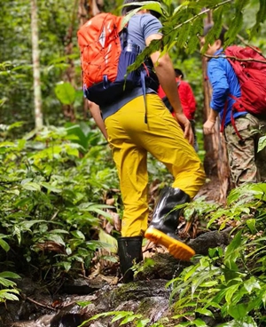 巴朵雨林徒步