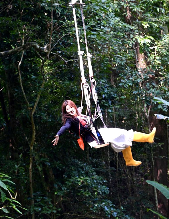 么卓线雨林秋千
