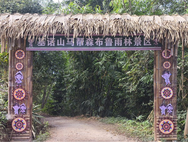 基诺山么卓森布鲁雨林徒步